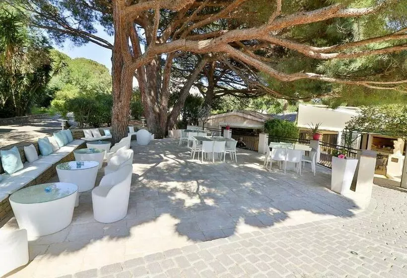 Fotos del hotel Le Mas Bellevue:  13