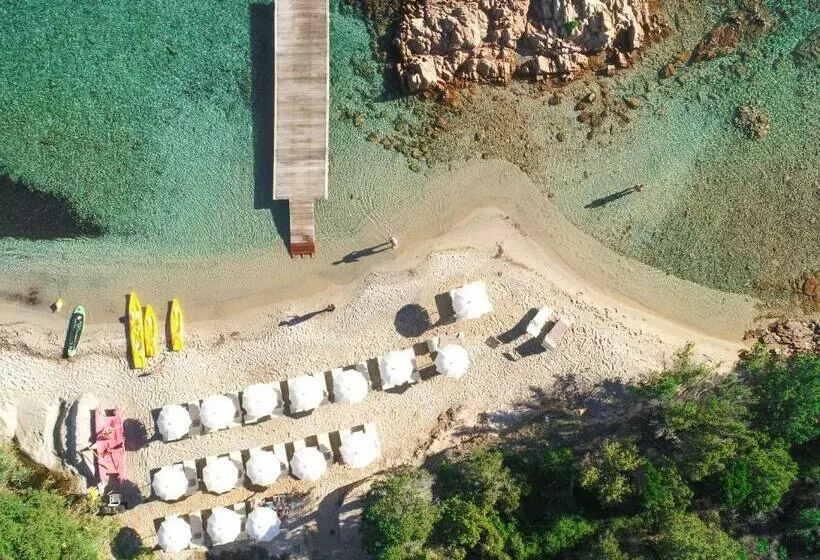 Fotos del hotel Le Ginestre:  12