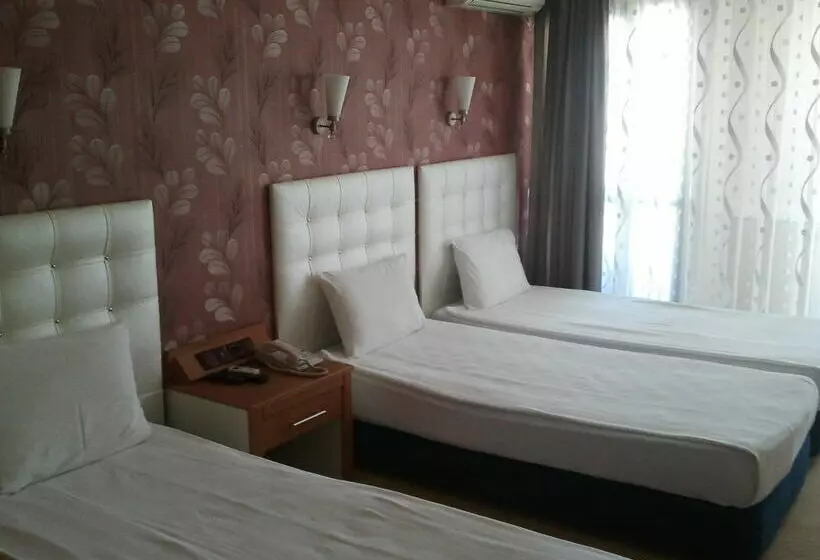 Fotos del hotel Kocaman Hotel:  13