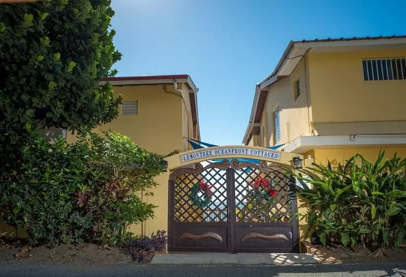 Fotos del hotel Lemontree Oceanfront Cottages:  5