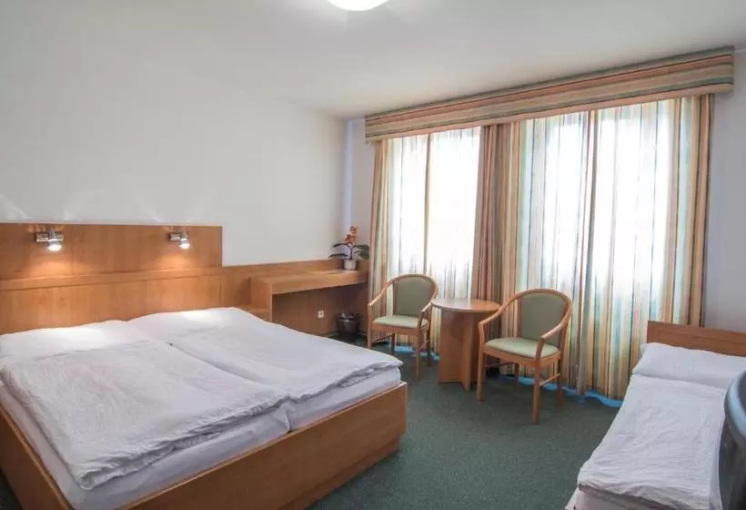 Fotos del hotel Avion:  12