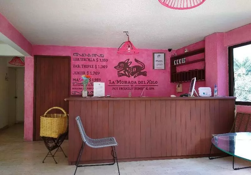 Fotos del hotel La Morada Del Xolo By Oyo Rooms:  7