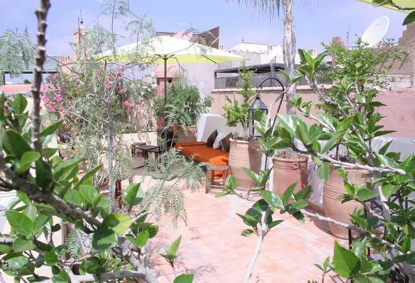 Fotos del hotel Dar Limoun Amara:  10