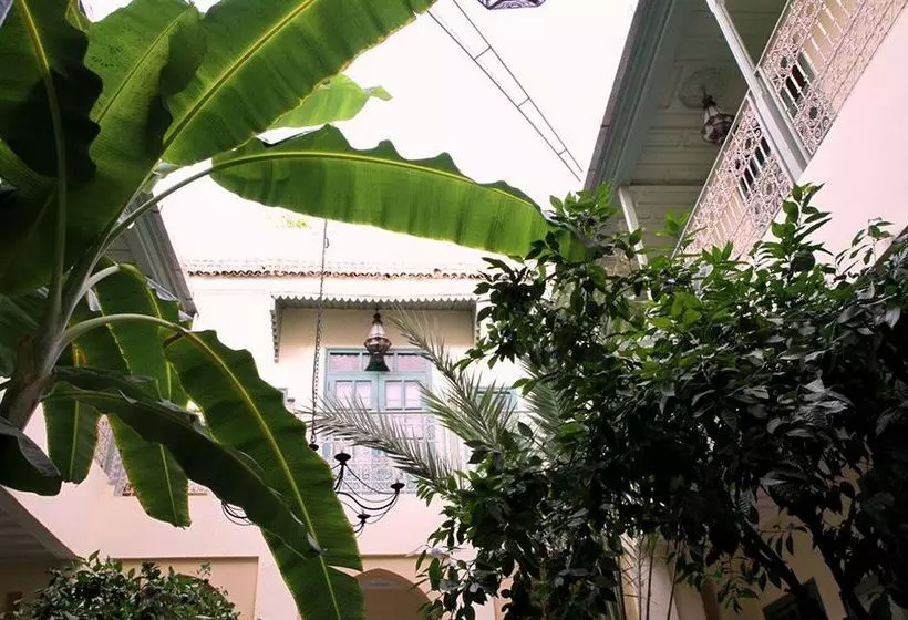 Fotos del hotel Dar Limoun Amara:  6