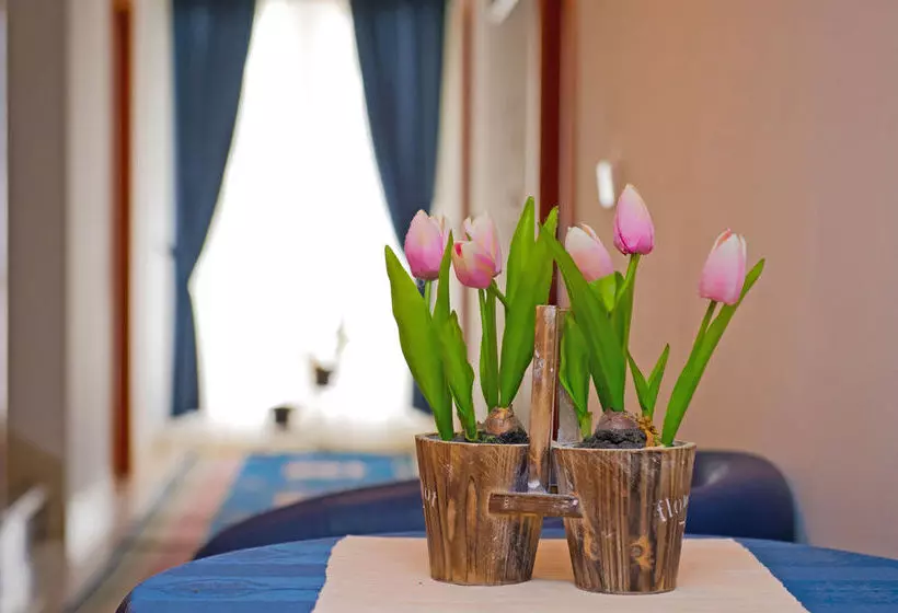 Fotos del hotel Apartments And Rooms Villa Javor:  7