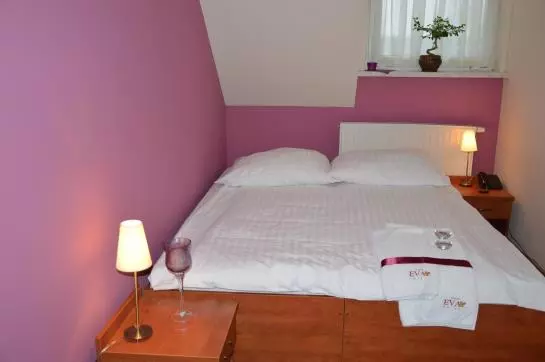 Fotos del hotel Vistula:  7