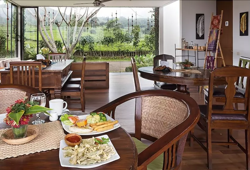 Fotos del hotel Tea Garden Resort:  3