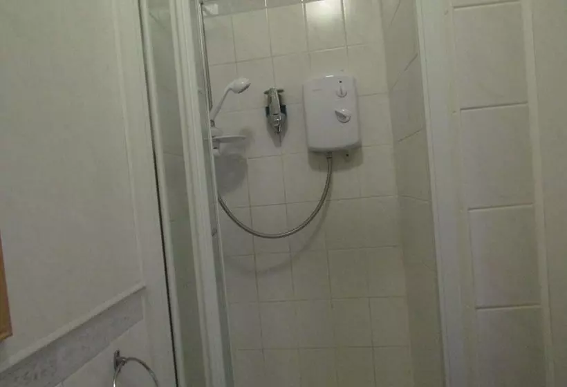 Fotos del hotel The Caroldene:  6