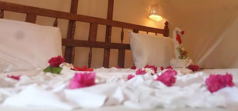 Fotos del hotel Palumbo Reef:  22