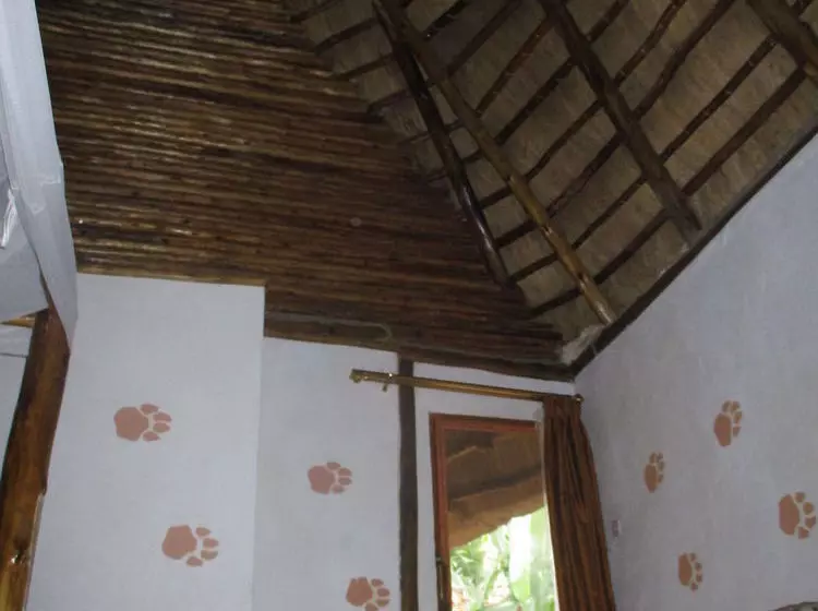 Fotos del hotel Buziga Shelter Lodge:  12