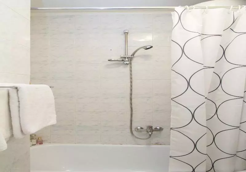 Fotos del hotel Studio Skadarlija 3:  8