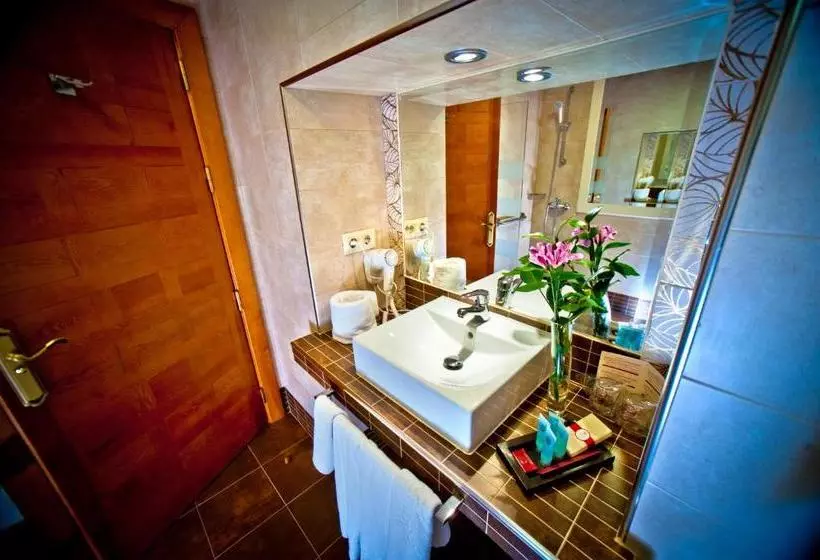 Fotos del hotel Condes De Castilla:  5