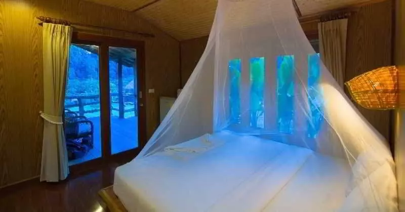 Fotos del hotel The Cliff & River Jungle:  7