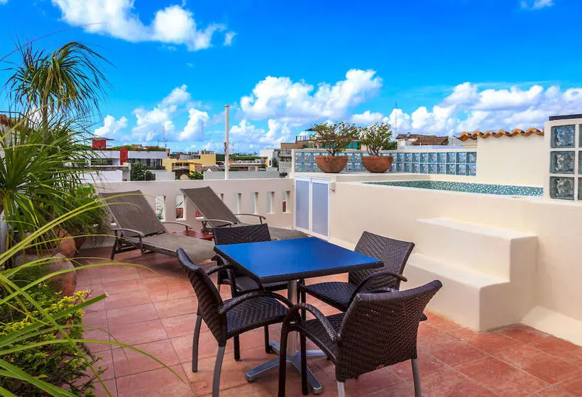 Fotos del hotel Royal Palms By Bric:  3