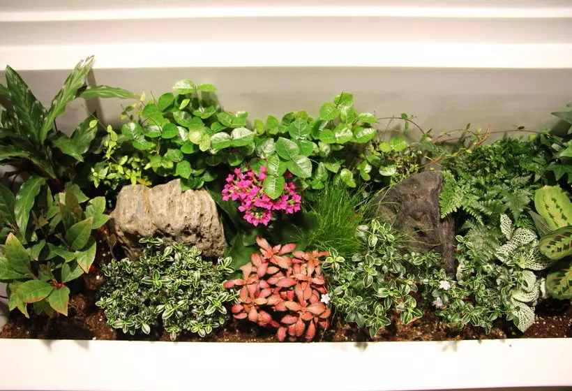 Fotos del hotel Polo:  4