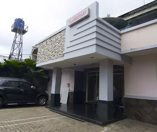 House Of Arsonia Flamboyant