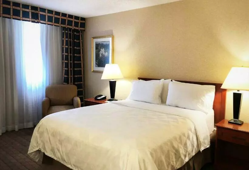 Fotos del hotel Holiday Inn Calgary  Macleod Trail South, An Ihg:  17