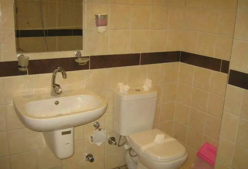 Fotos del hotel El Tonsy Cairo:  4