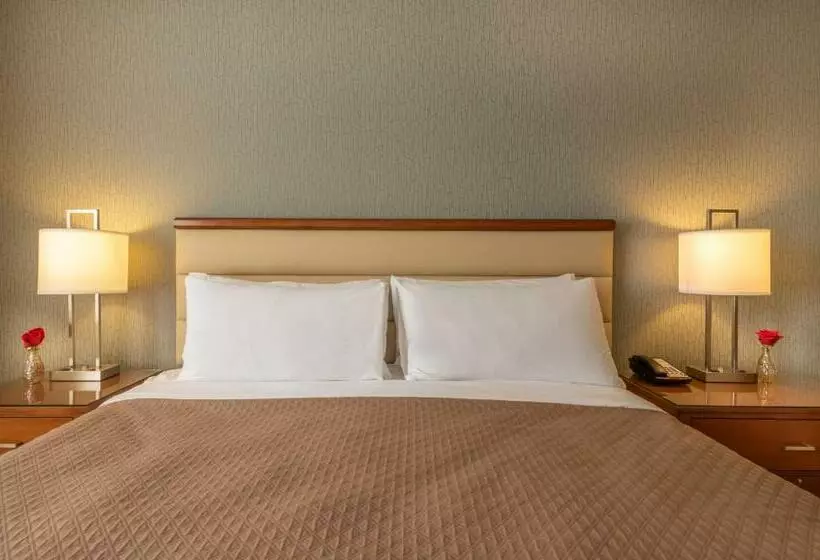 Fotos del hotel Georgetown Suites Courtyard:  9