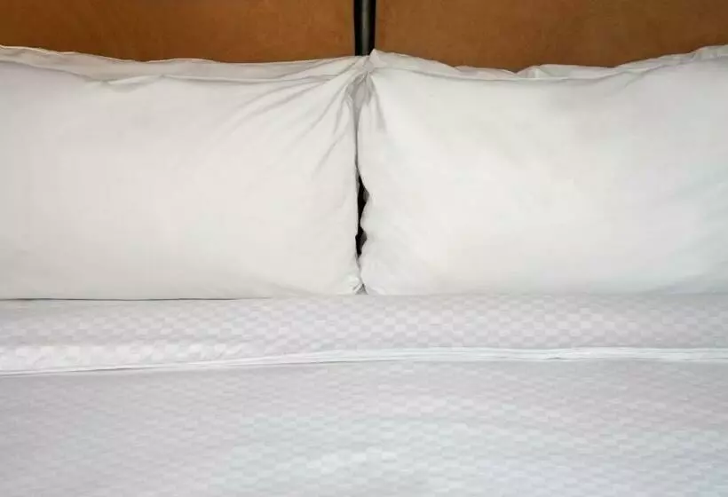 Fotos del hotel Four Points By Sheraton Phoenix North:  14