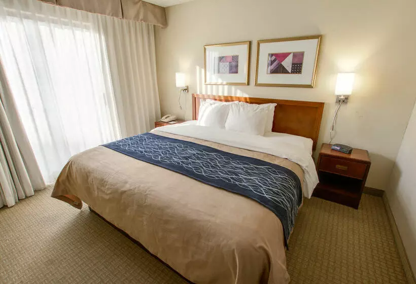 Fotos del hotel Comfort Inn Phoenix North:  15