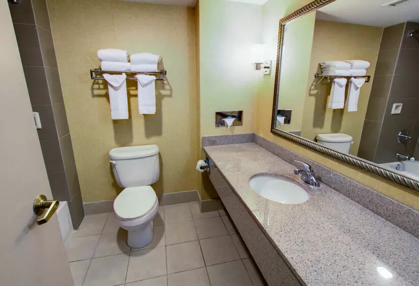 Fotos del hotel Comfort Inn Phoenix North:  9