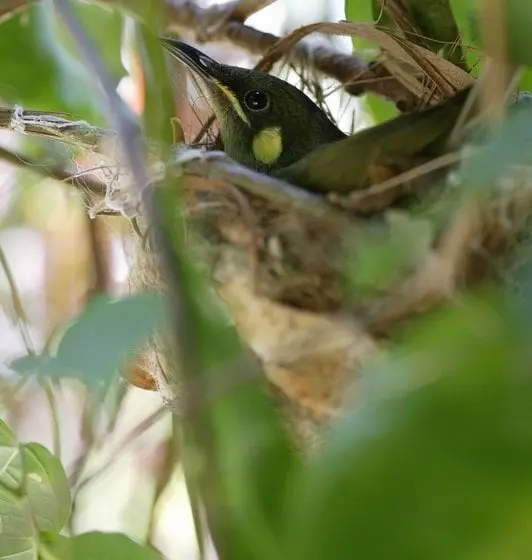 Fotos del hotel Bloomfield Lodge Beautifully Remote :  4