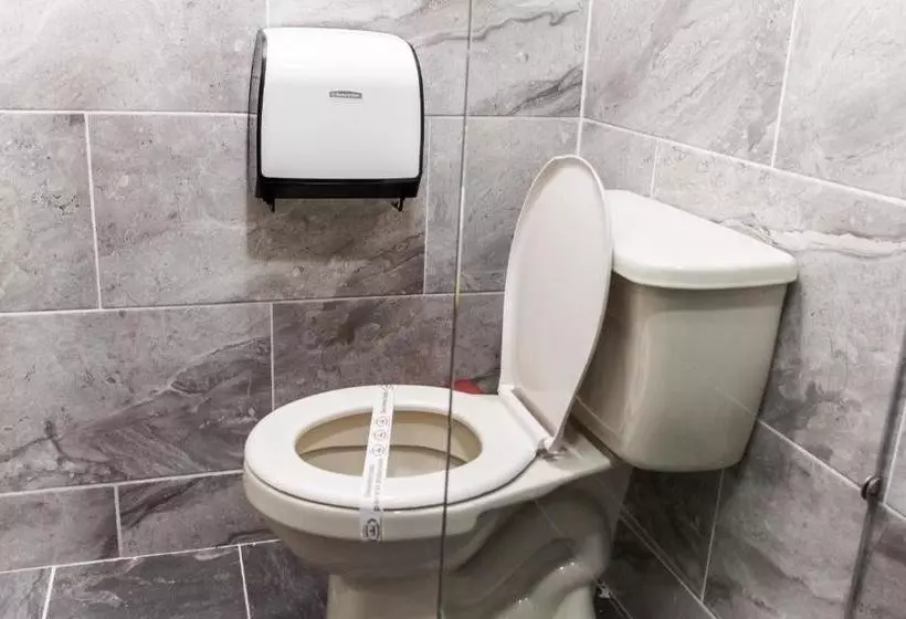 Fotos del hotel Plaza Imperial:  17