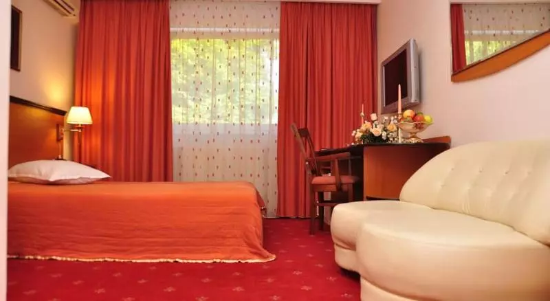 Fotos del hotel Hotel Royal Plaza:  2