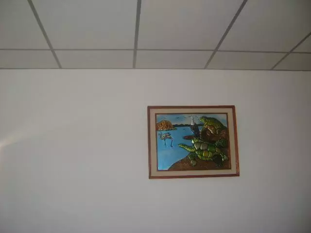 Fotos del hotel Hostal Las Gardenias:  13