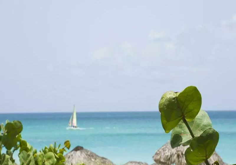 Fotos del hotel Blau Varadero - Adults Only:  14