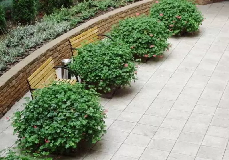 Fotos del hotel Senator Apartments Budapest:  12