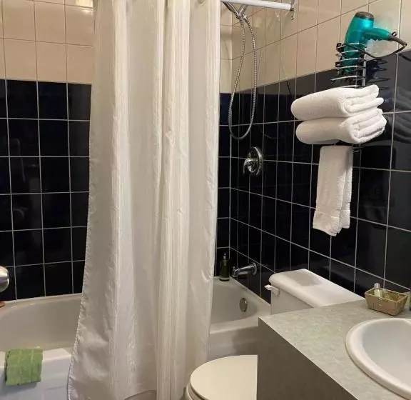 Fotos del hotel Visitel:  9