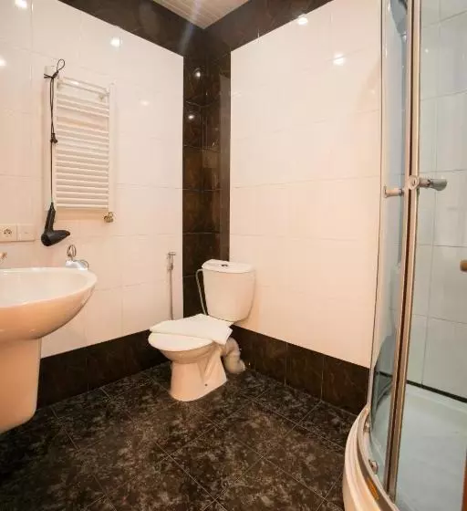 Fotos del hotel Vip Victoria:  3