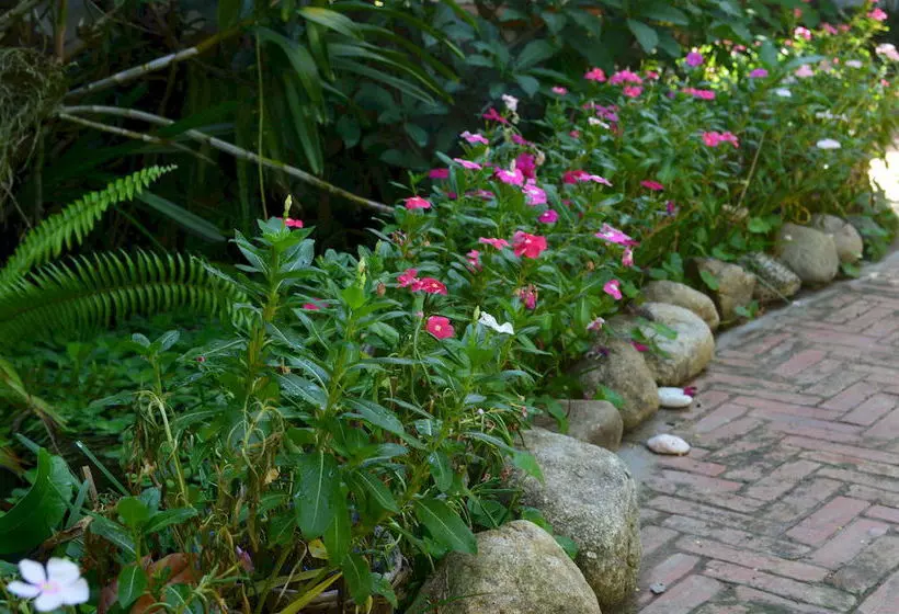 Fotos del hotel The Hoi An Orchid Garden Villas:  22