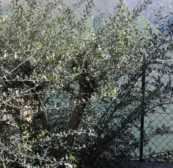 Fotos del hotel Plinios:  9