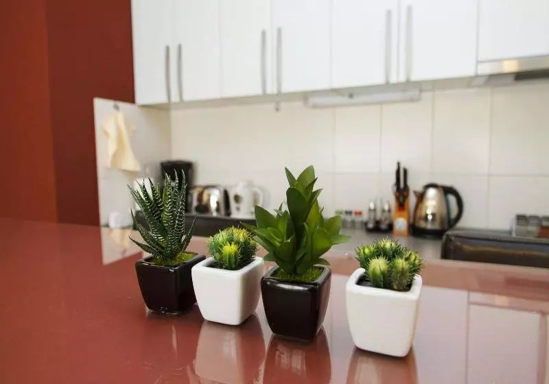 Fotos del hotel Silicon Valley Apartment:  17