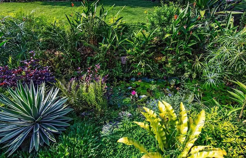 Fotos del hotel Eden Resort Phu Quoc:  13