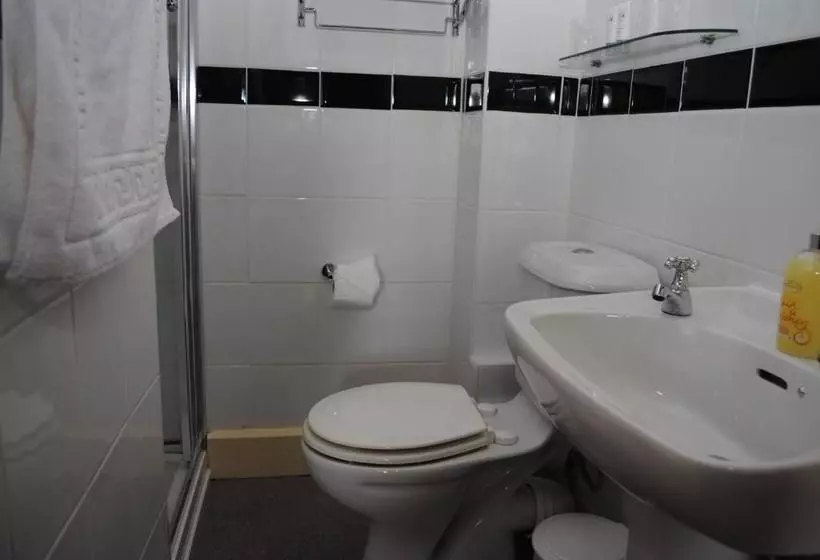 Fotos del hotel The Patricia:  4