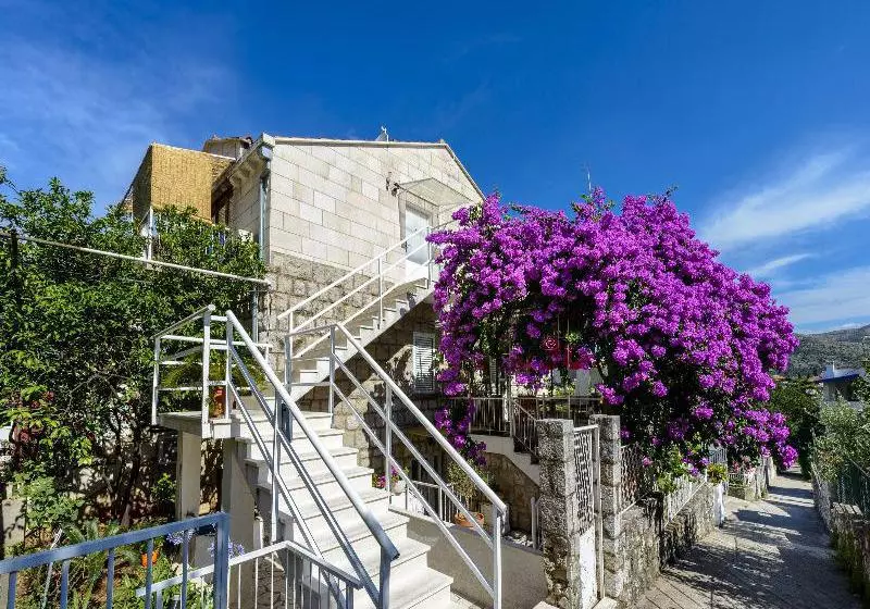 Fotos del hotel Apartmani Villa Tolja:  3