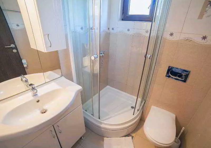 Fotos del hotel Vile Dimic:  9