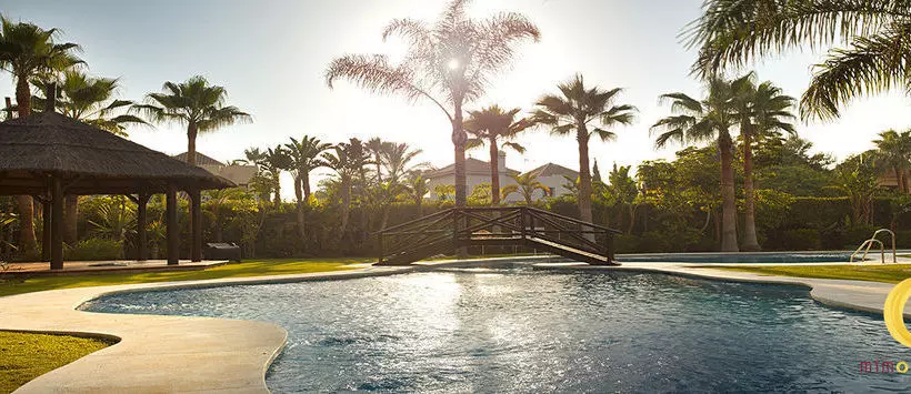 Fotos del hotel Mimosas Banus:  16