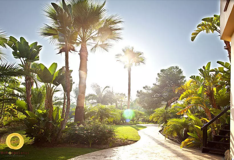 Fotos del hotel Mimosas Banus:  9