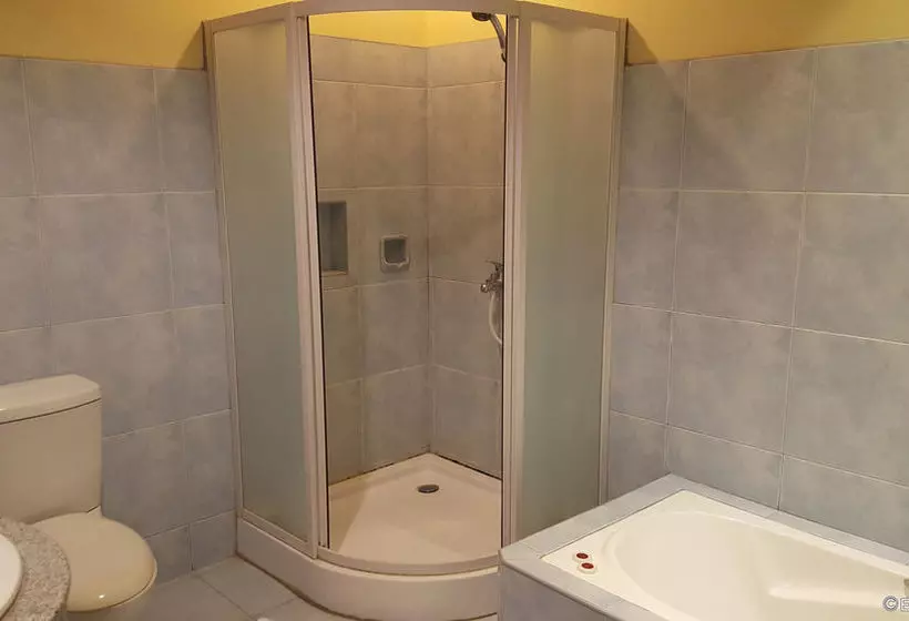 Fotos del hotel Dumaguete Royal Suite Inn:  12