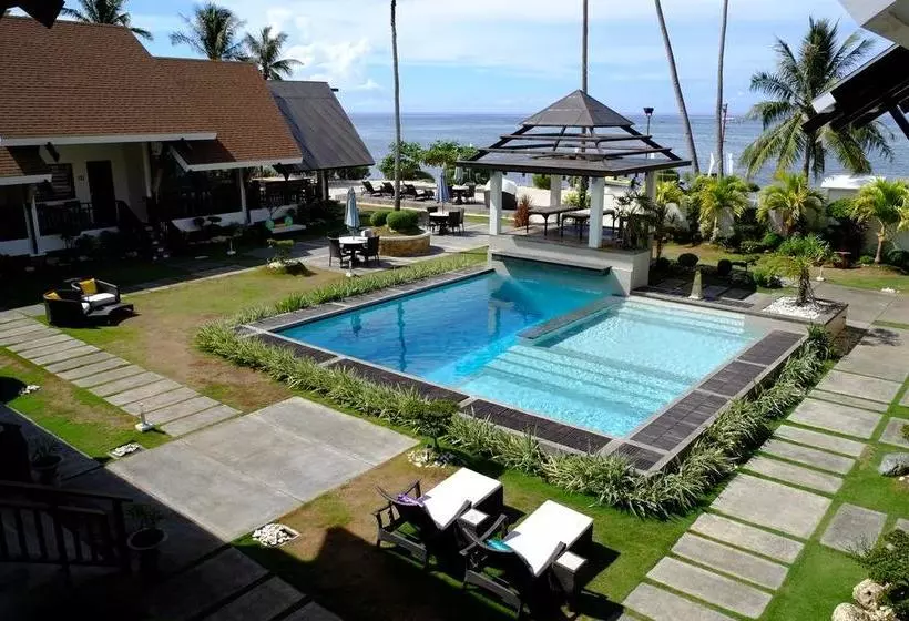 Fotos del hotel Dive Thru Scuba Resort:  7