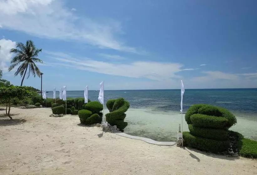 Fotos del hotel Dive Thru Scuba Resort:  11