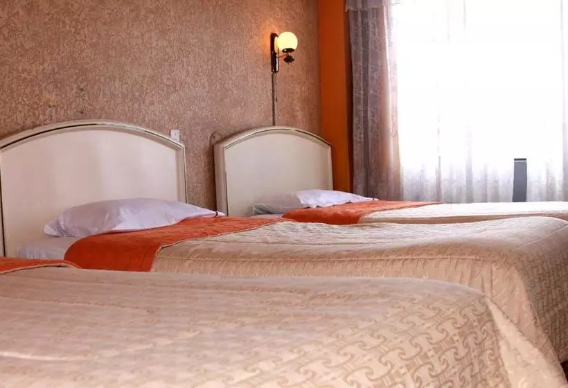 Fotos del hotel Diplomat S:  13