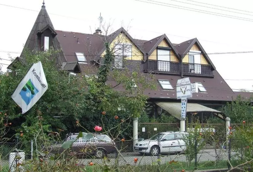 Fotos del hotel Sashalom:  7