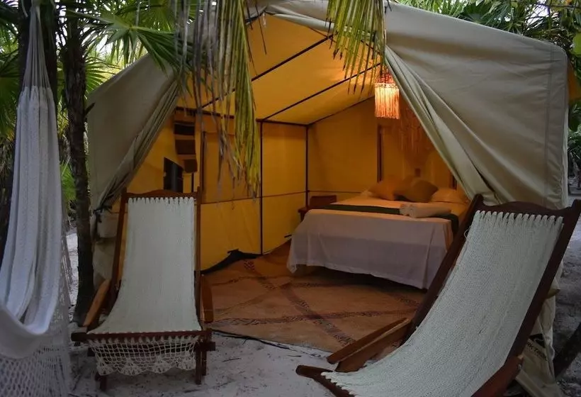 Fotos del hotel Uma Tulum Oceanfront:  8
