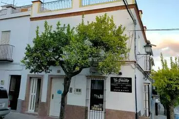 Jacaranda - Prado del Rey